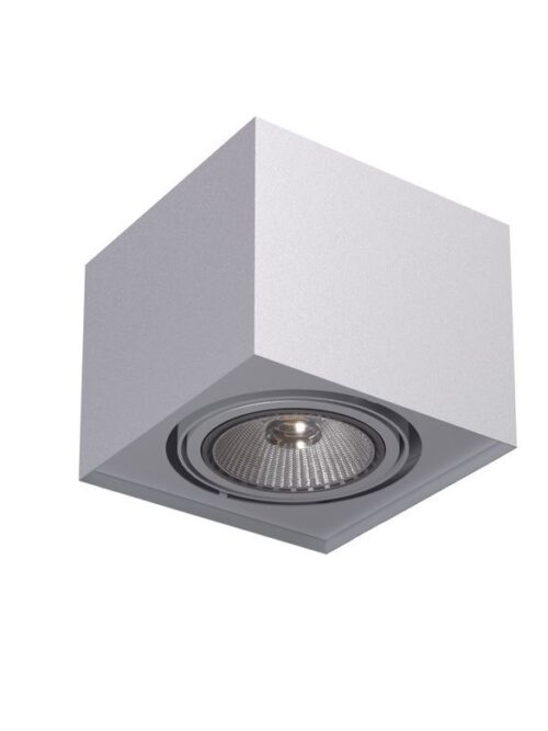 CLEONI ALPINA A1Sh AR111 stropowy max. 1x100W G53 12V/AC bia¸y sygna¸owy (mat struktura) RAL 9003