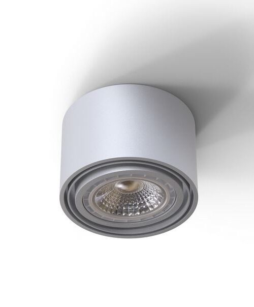CLEONI TUZ Z4Sh AR111 stropowy max. 1x60W G53 12V/AC bia¸y sygna¸owy (mat struktura) RAL 9003