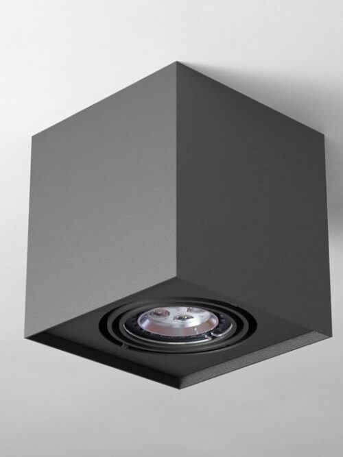 CLEONI ALEJO S1 stropowy max. 1x35W GU10 230V bia¸y sygna¸owy (mat struktura) RAL 9003