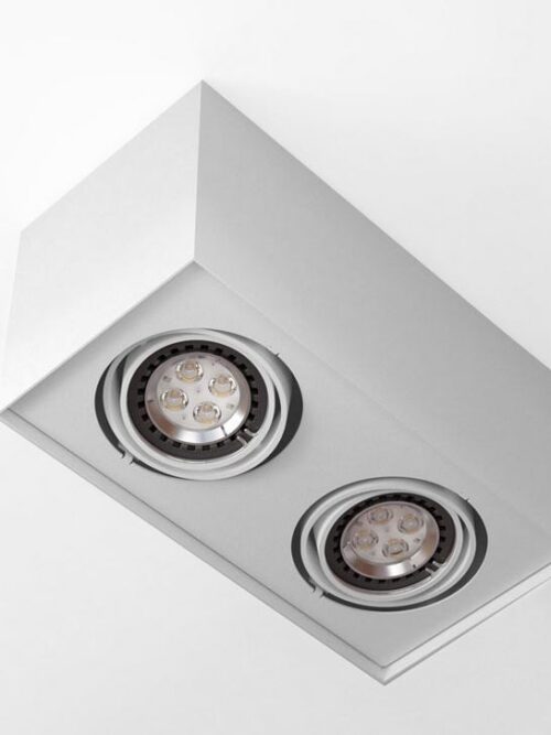 CLEONI ALEJO S2 stropowy max. 2x35W GU10 230V bia¸y sygna¸owy (mat struktura) RAL 9003