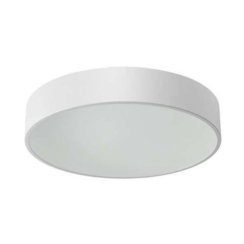 Cleoni Natynkowe ABA stal led